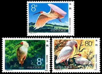 3 ШТ, Почтовые Марки Китая, Хохлатый Ибис, Марки с Птицами, Настоящий оригинал, Коллекция марок