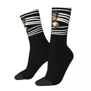 Новые Мужские носки Harajuku, носки для йоркширского терьера, полиэстеровые носки для щенков Йорки, Спортивные женские носки, Весна-лето, осень-зима
